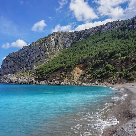 -3516 Mallorca