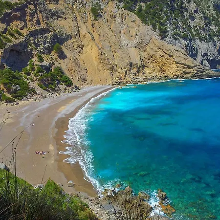 -3516 Mallorca *